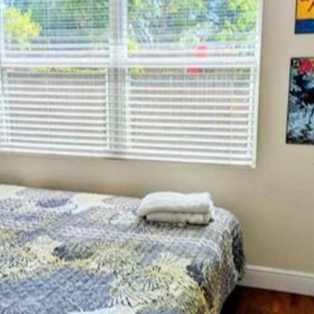 Spacious House With Big Backyard In N. Hyde Park / Close To Downtown Tampa Esterno foto