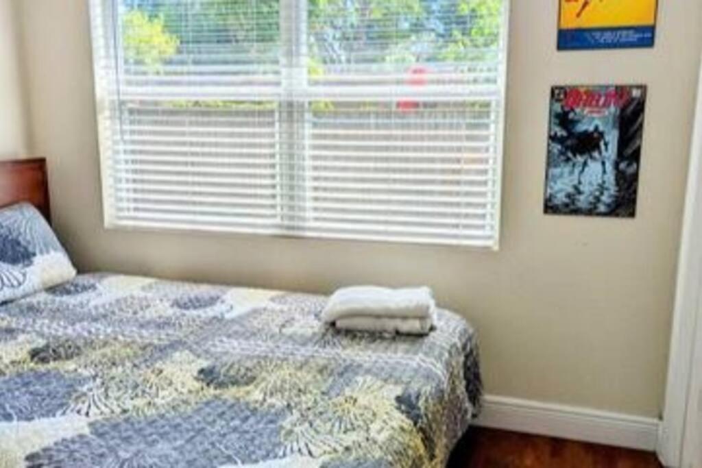 Spacious House With Big Backyard In N. Hyde Park / Close To Downtown Tampa Esterno foto